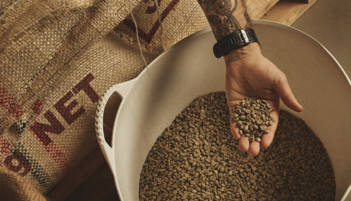 Técnico Auxiliar En Producción Y Comercialización De Café, Té Y Yerba Mate